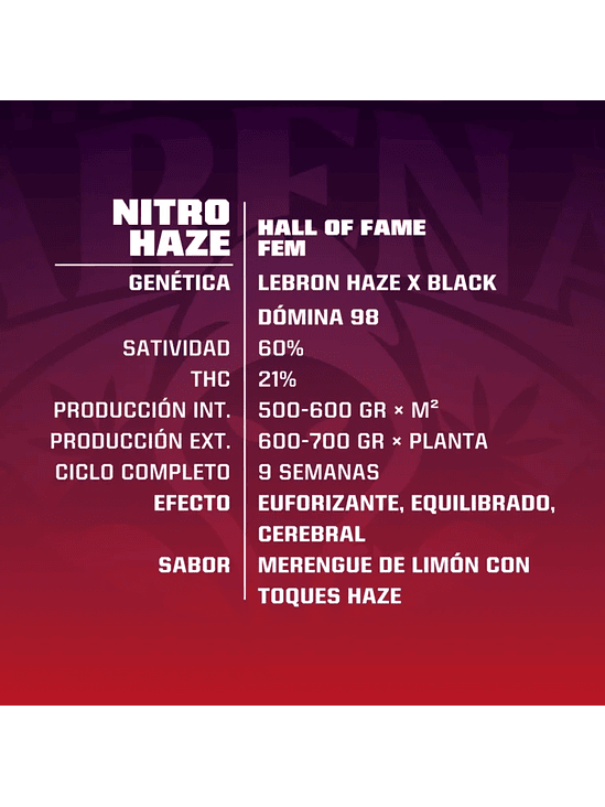 NITRO HAZE FEM X2-BSF 2