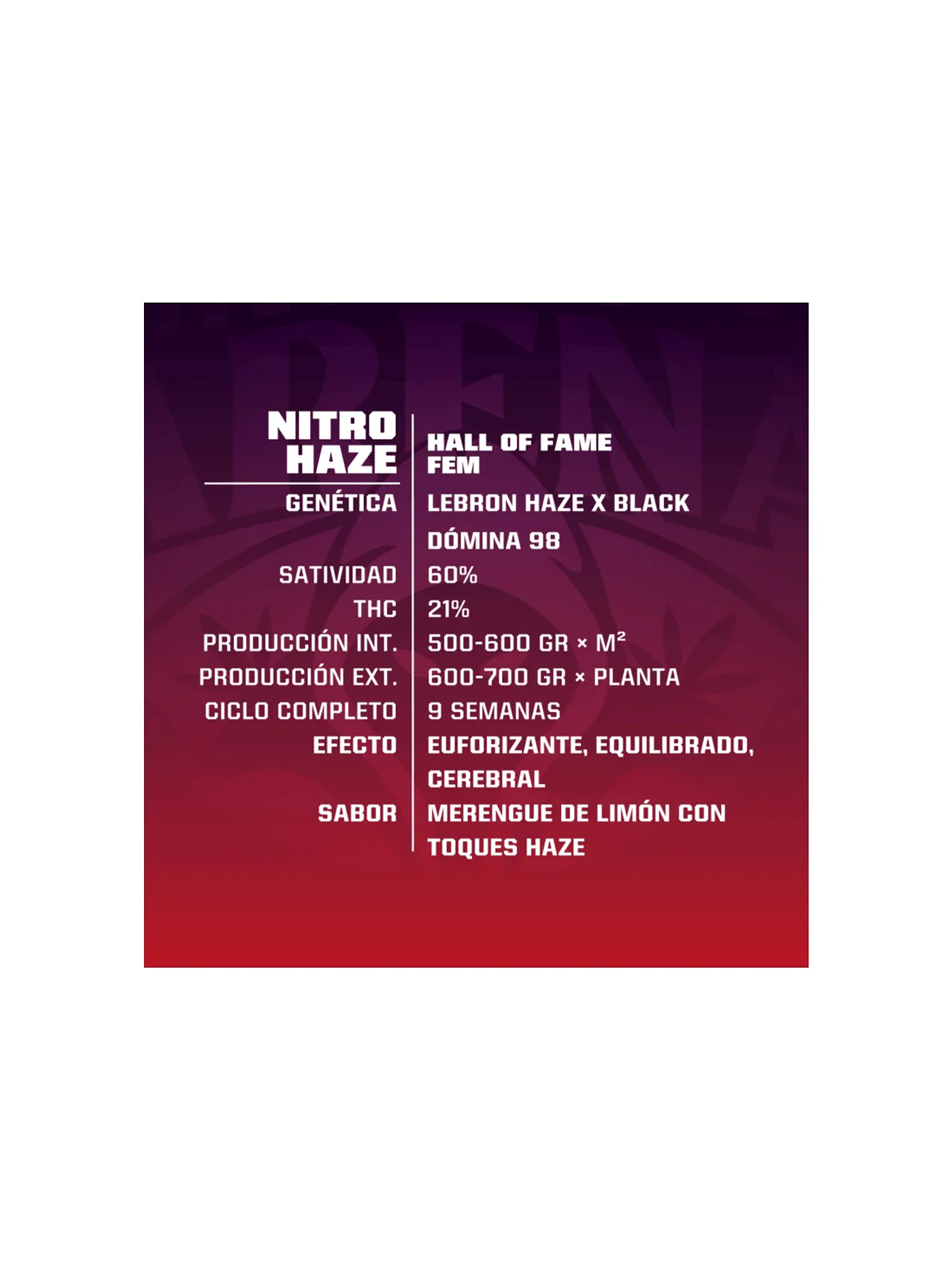 Nitro Haze Fem -Bsf (X7/X4/X2) 2