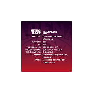 Bsf Seeds Nitro Haze Fem X7