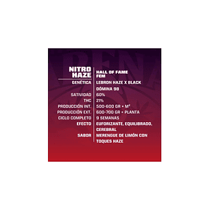 BSF SEEDS NITRO HAZE FEM X7
