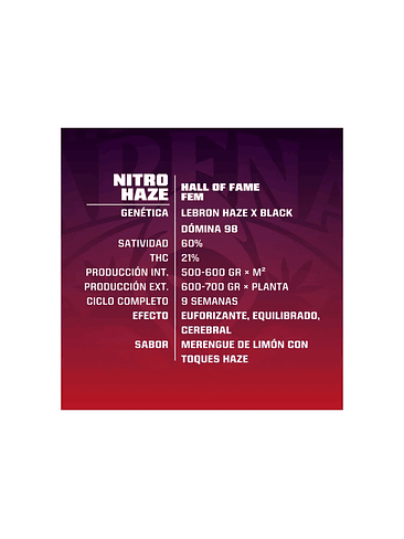 BSF SEEDS NITRO HAZE FEM X7 2