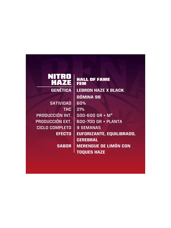 BSF SEEDS NITRO HAZE FEM X7 2