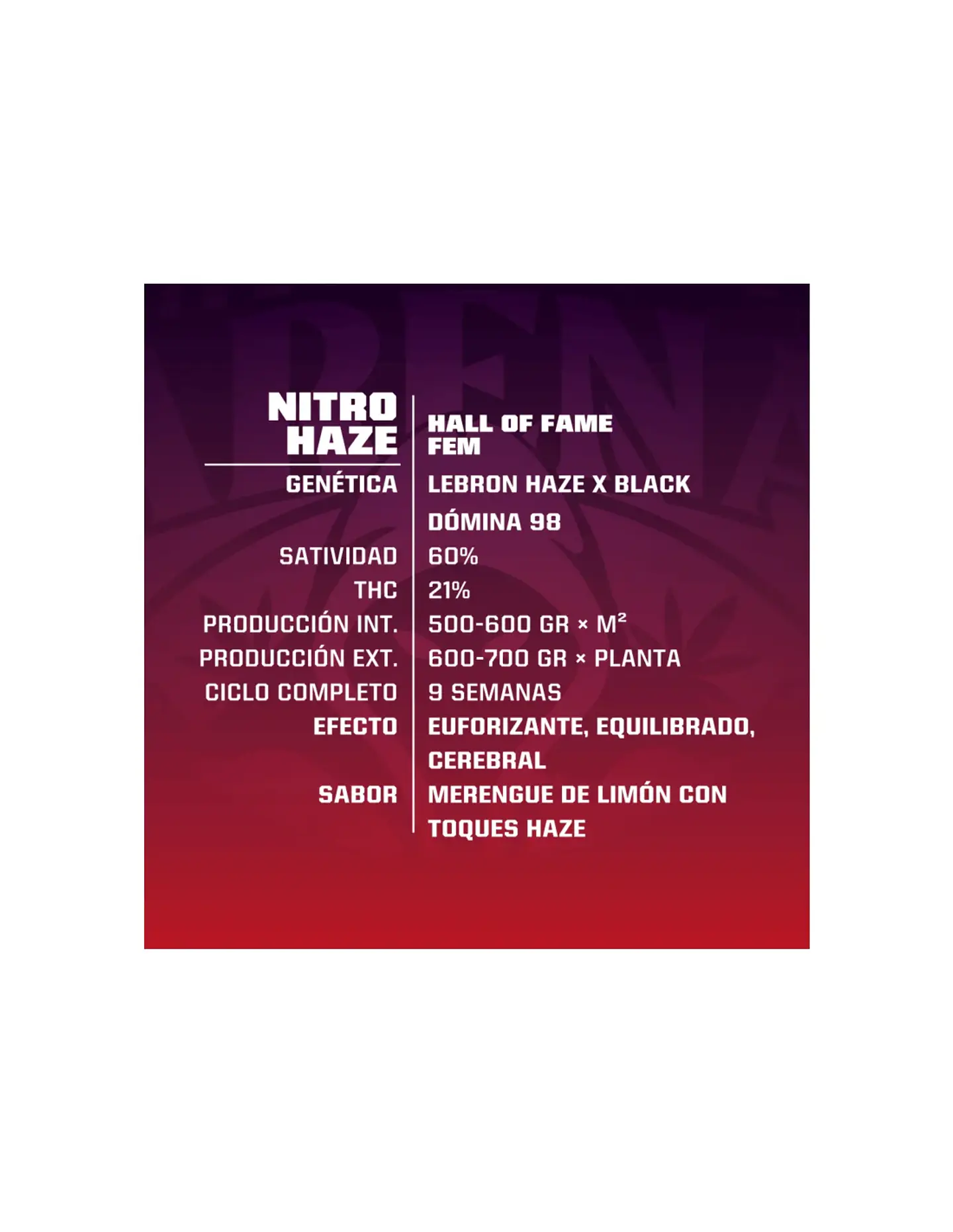 Nitro Haze Fem -Bsf (X12/X7/X4/X2) 2