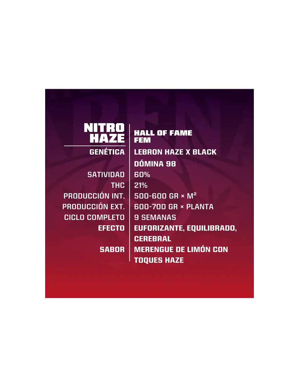 Nitro Haze Fem -Bsf (X12/X7/X4/X2) 2