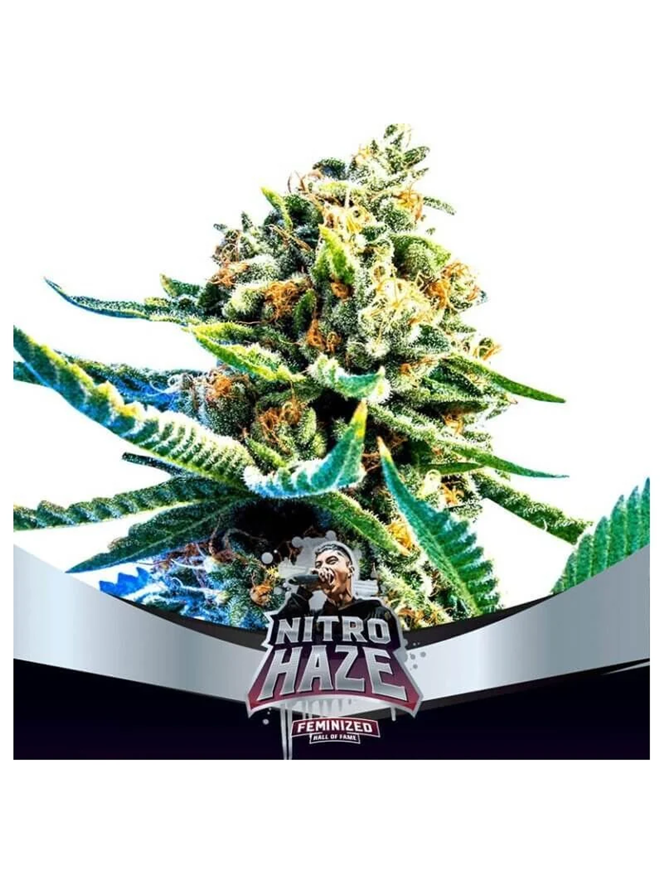 Nitro Haze Fem -Bsf (X7/X4/X2) 1