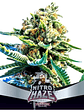 BSF SEEDS NITRO HAZE FEM X7 - Miniatura 1
