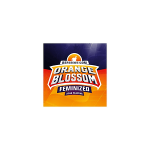 Orange Blossom Fem X2 -Bsf