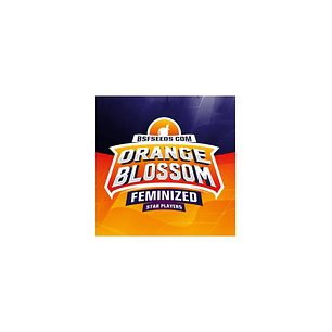 ORANGE BLOSSOM FEM X2 -BSF