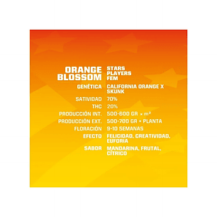 ORANGE BLOSSOM FEM X4 -BSF