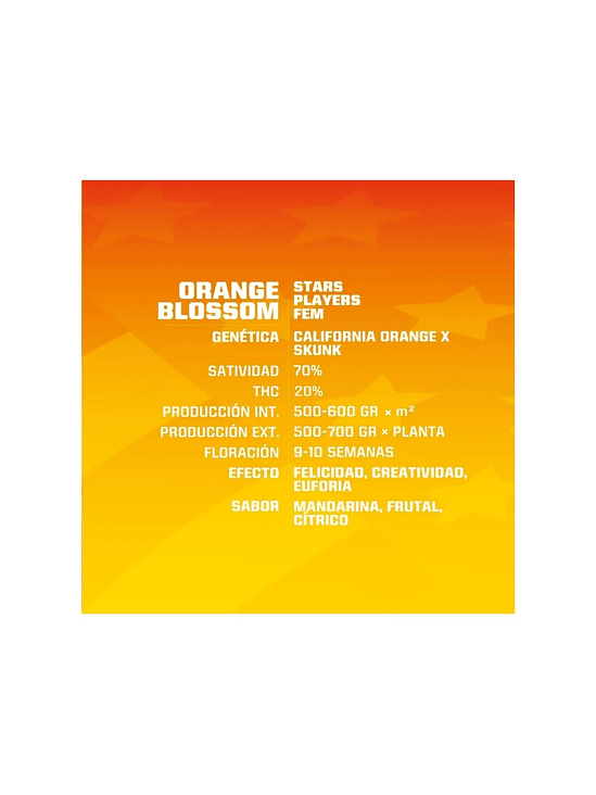 ORANGE BLOSSOM FEM X4 -BSF 1