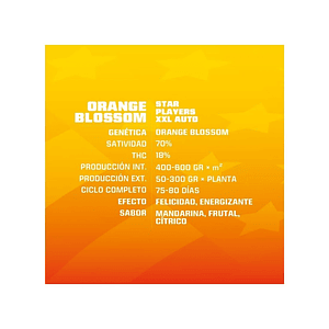 Orange Blossom Xxl  Auto X4 -Bsf