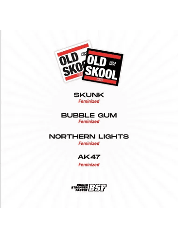 OLD SKOOL MIX FEM X12-BSF 1