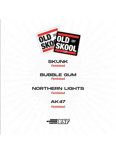 Old Skool Mix Fem -Bsf (X12/X8/X4) 5
