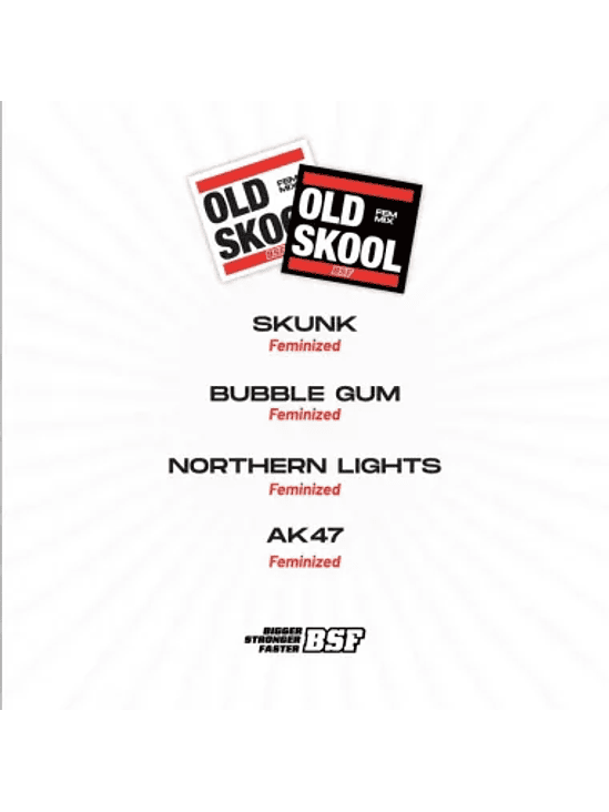 OLD SKOOL MIX FEM X12-BSF 1