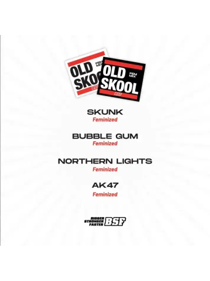 Old Skool Mix Fem -Bsf (X12/X8/X4) 5