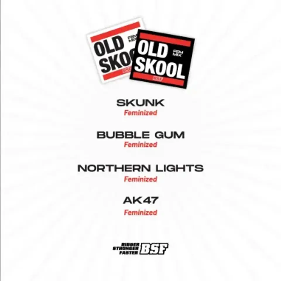 Old Skool Mix Fem -Bsf (X12/X8/X4) 5