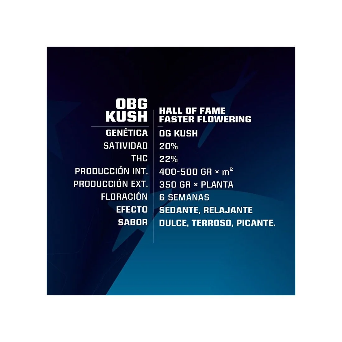 Obg Kush Fast Fem -Bsf (X4/X2) 2