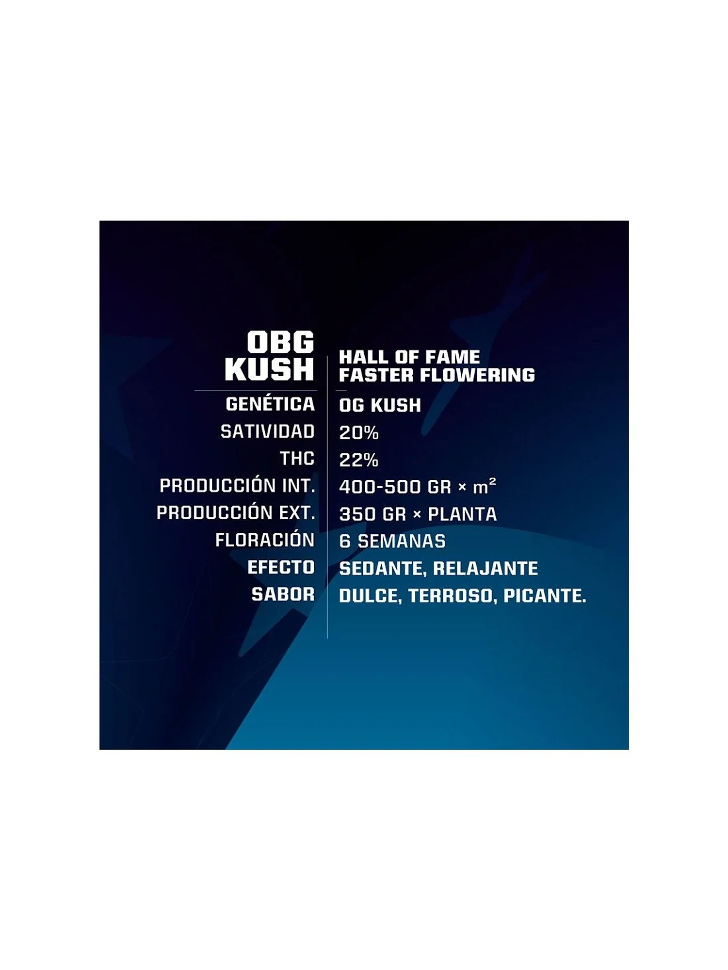 Obg Kush Fast Fem -Bsf (X4/X2) 2