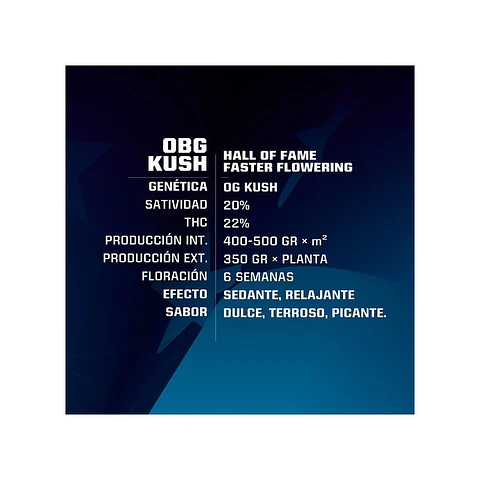 Obg Kush Fast Fem -Bsf (X4/X2)