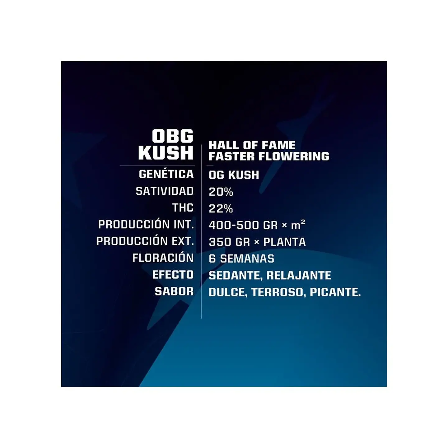 Obg Kush Fast Fem -Bsf (X7/X4/X2) 2