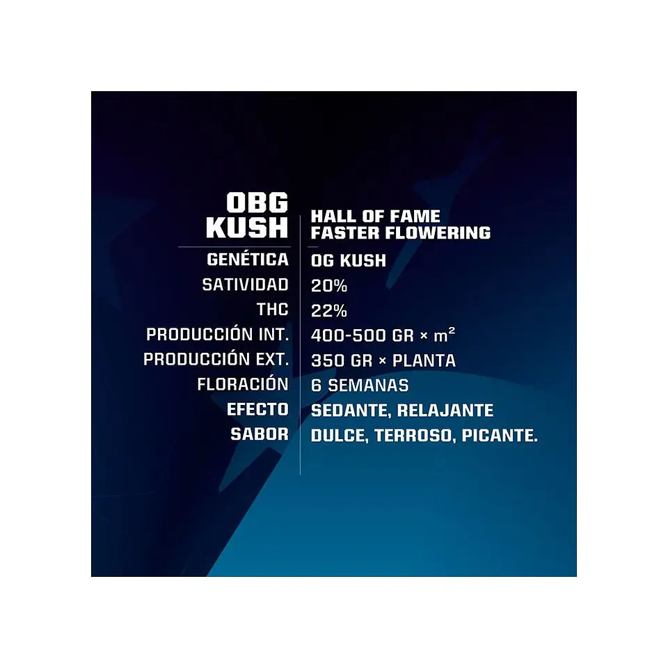 Obg Kush Fast Fem -Bsf (X7/X4/X2) 2
