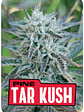 Pine Tar Kush L.E. X12-Bsf - Miniatura 1