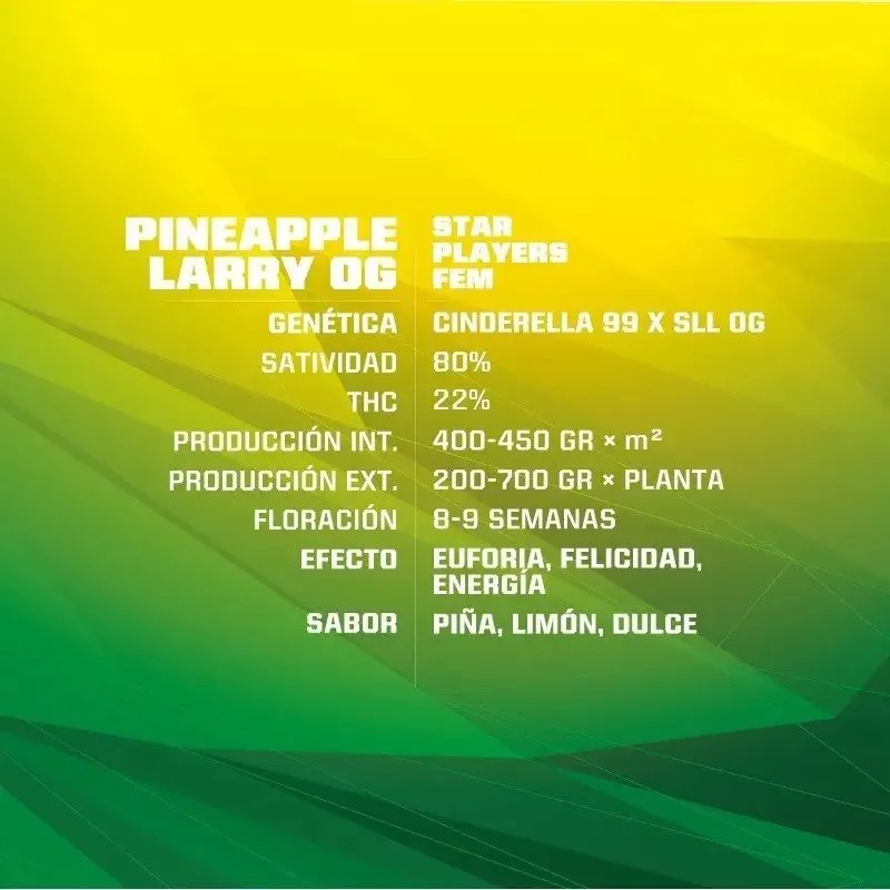 Pineapple Larry Og Fem X12-Bsf 2
