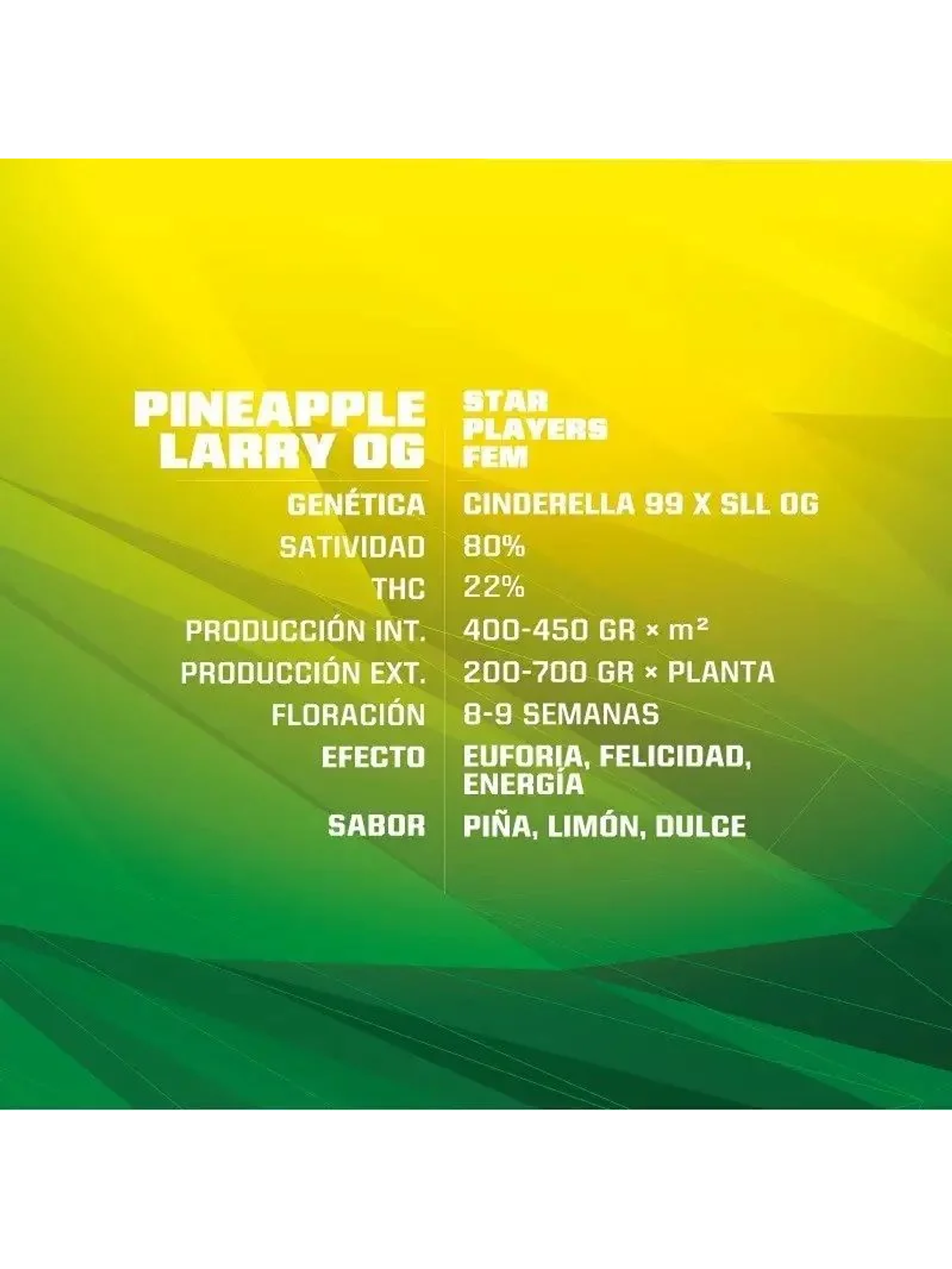 Pineapple Larry Og Fem X12-Bsf 2
