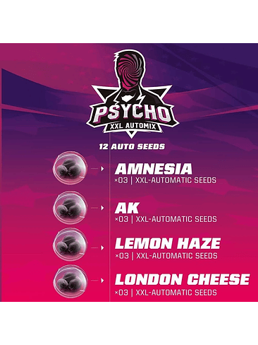 PSYCHO XXL AUTO X12 -BSF 1