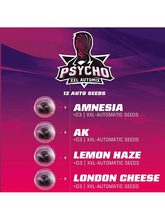 PSYCHO XXL AUTO X12 -BSF 1