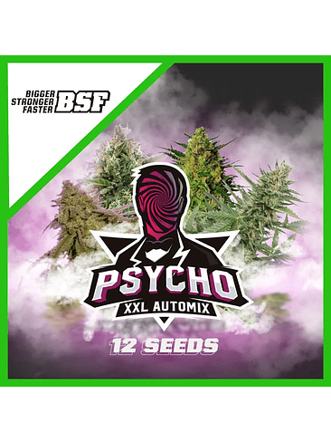 PSYCHO XXL AUTO X12 -BSF 2