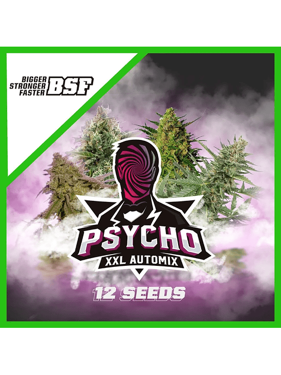 PSYCHO XXL AUTO X12 -BSF 2