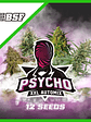 PSYCHO XXL AUTO X12 -BSF - Miniatura 2