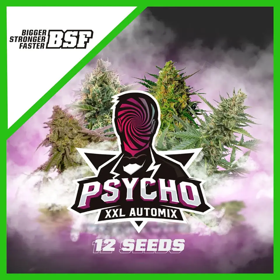 Psycho Xxl Auto X12 -Bsf 2