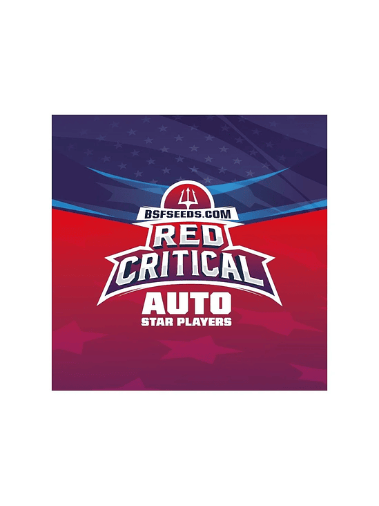 RED CRITICAL  AUTO X4 -BSF 1