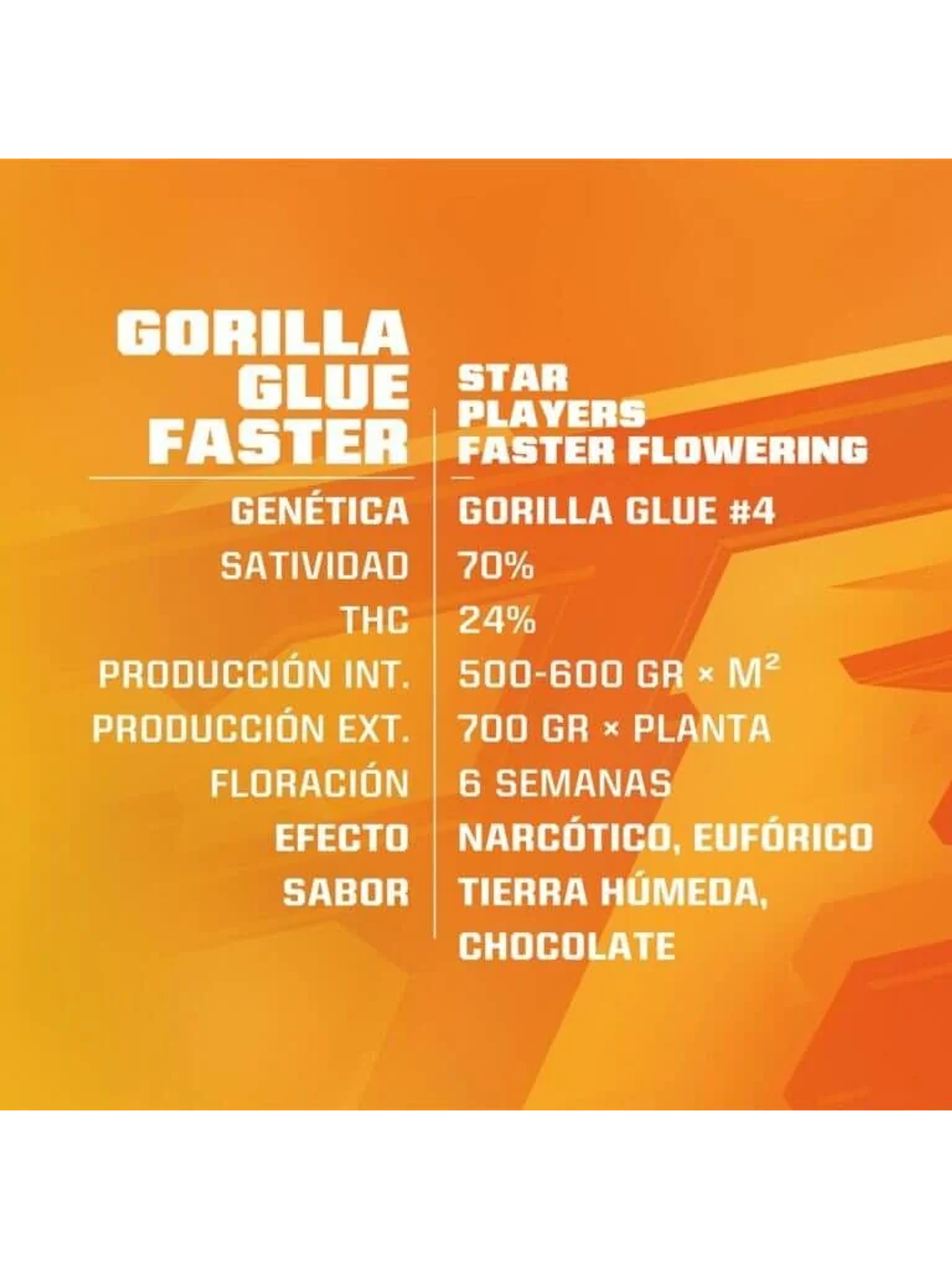 Star Players Gorilla Glue Fast Version X2-Bsf 1