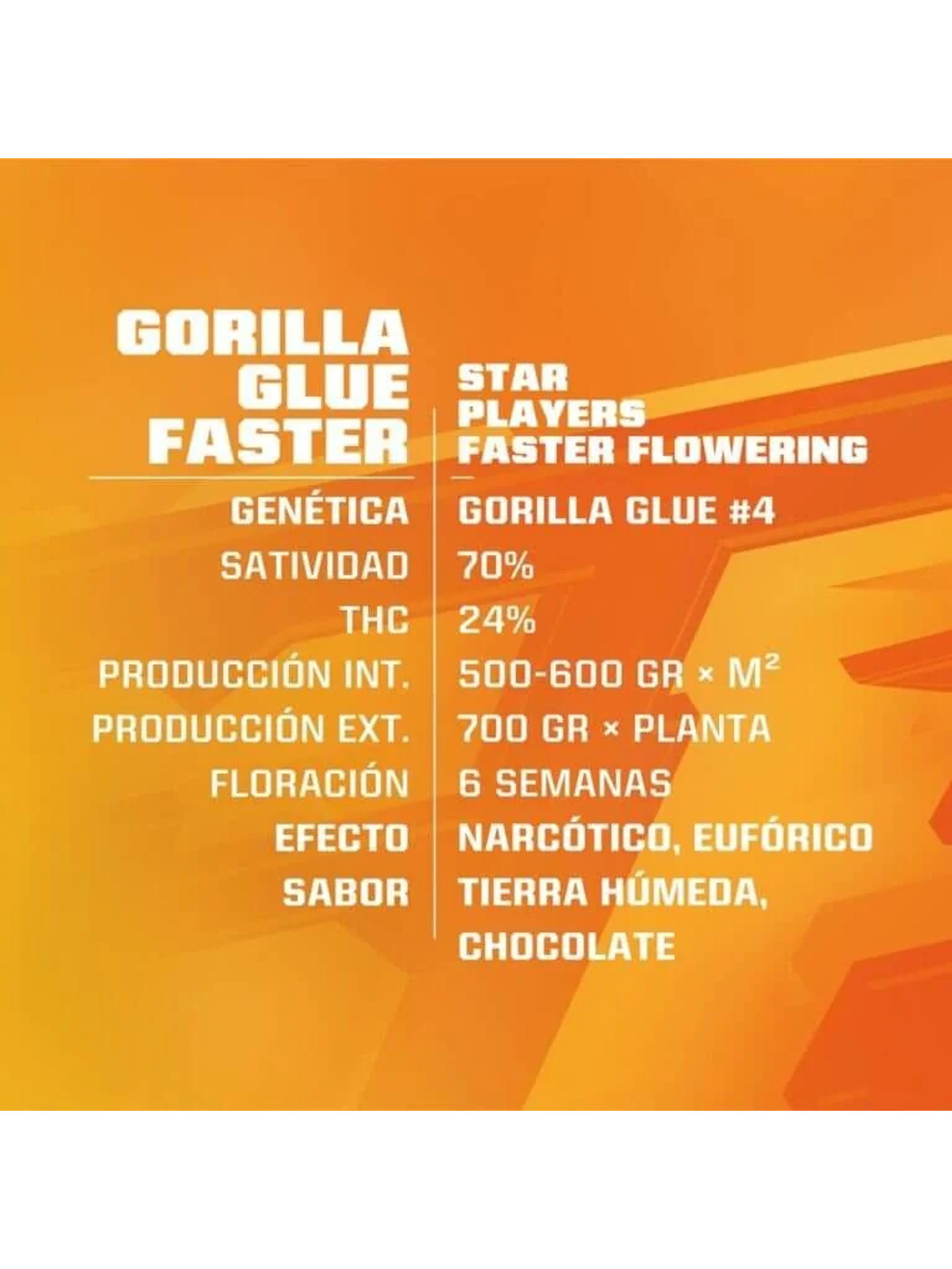 Star Players Gorilla Glue Fast Version X2-Bsf 1