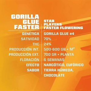 Star Players Gorilla Glue Fast Version X2-Bsf