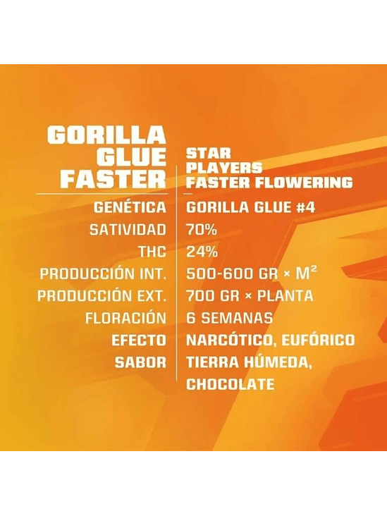STAR PLAYERS GORILLA GLUE FAST VERSION X2-BSF 1