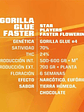 STAR PLAYERS GORILLA GLUE FAST VERSION X2-BSF - Miniatura 1