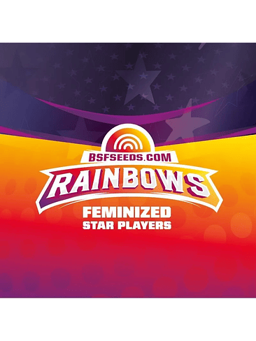 STAR PLAYERS RAINBOWS FEM X2-BSF 3