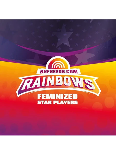 Star Players Rainbows Fem X2-Bsf 3