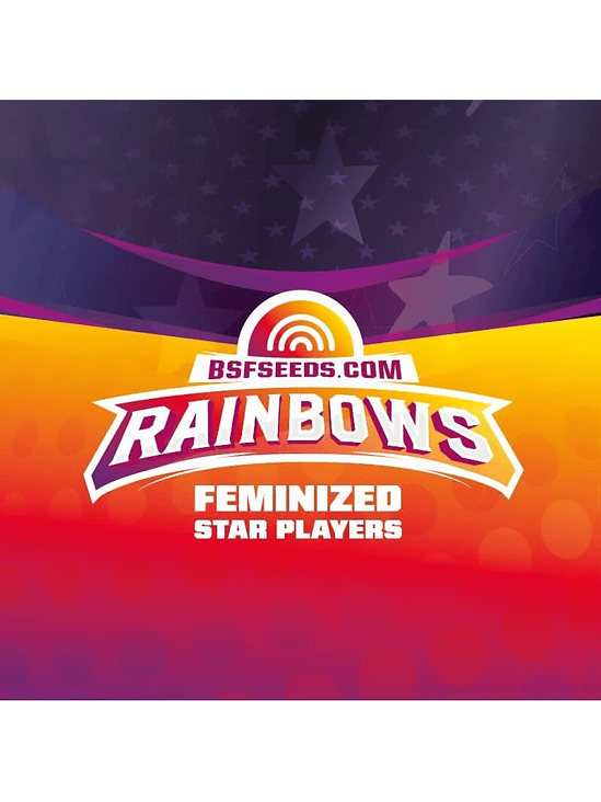STAR PLAYERS RAINBOWS FEM X2-BSF 3