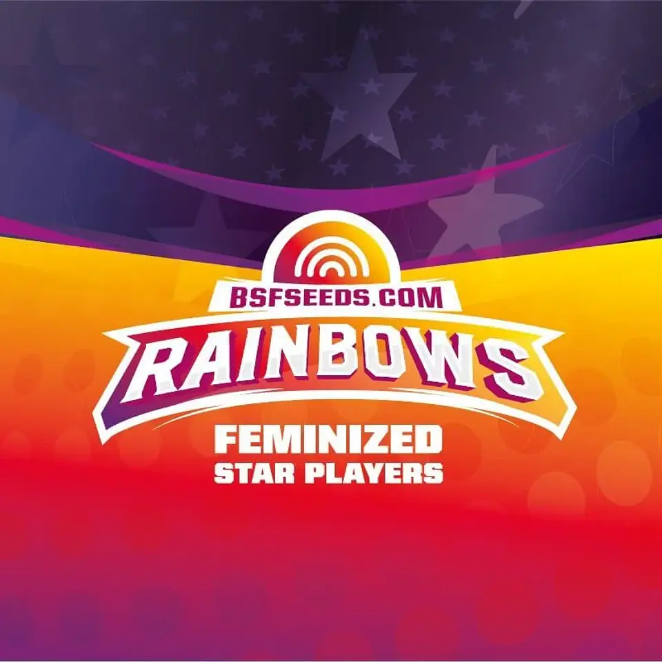 Star Players Rainbows Fem X2-Bsf 3