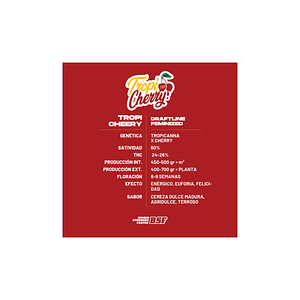 Tropi Cherry X2 - Bsf