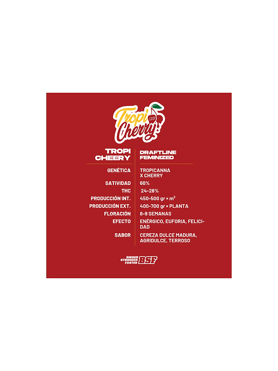 TROPI CHERRY X2 - BSF 1