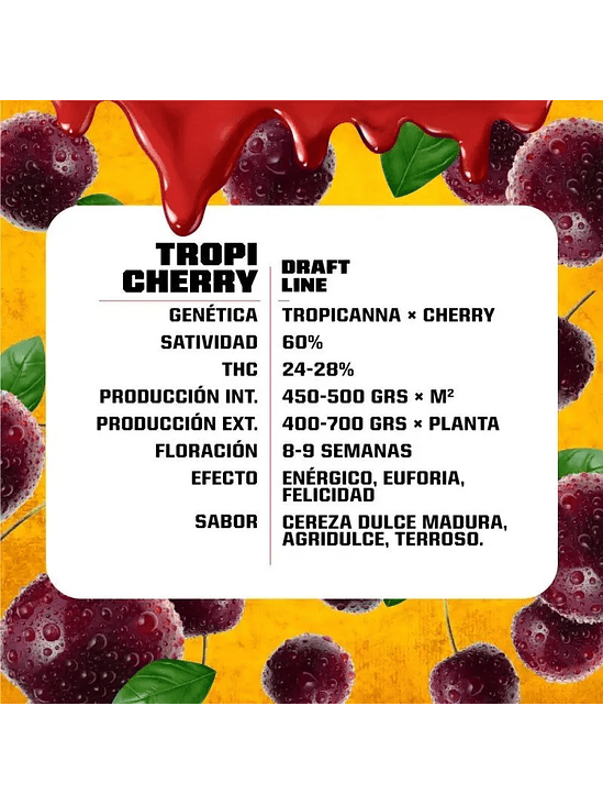TROPI CHERRY FEM X2-BSF 1