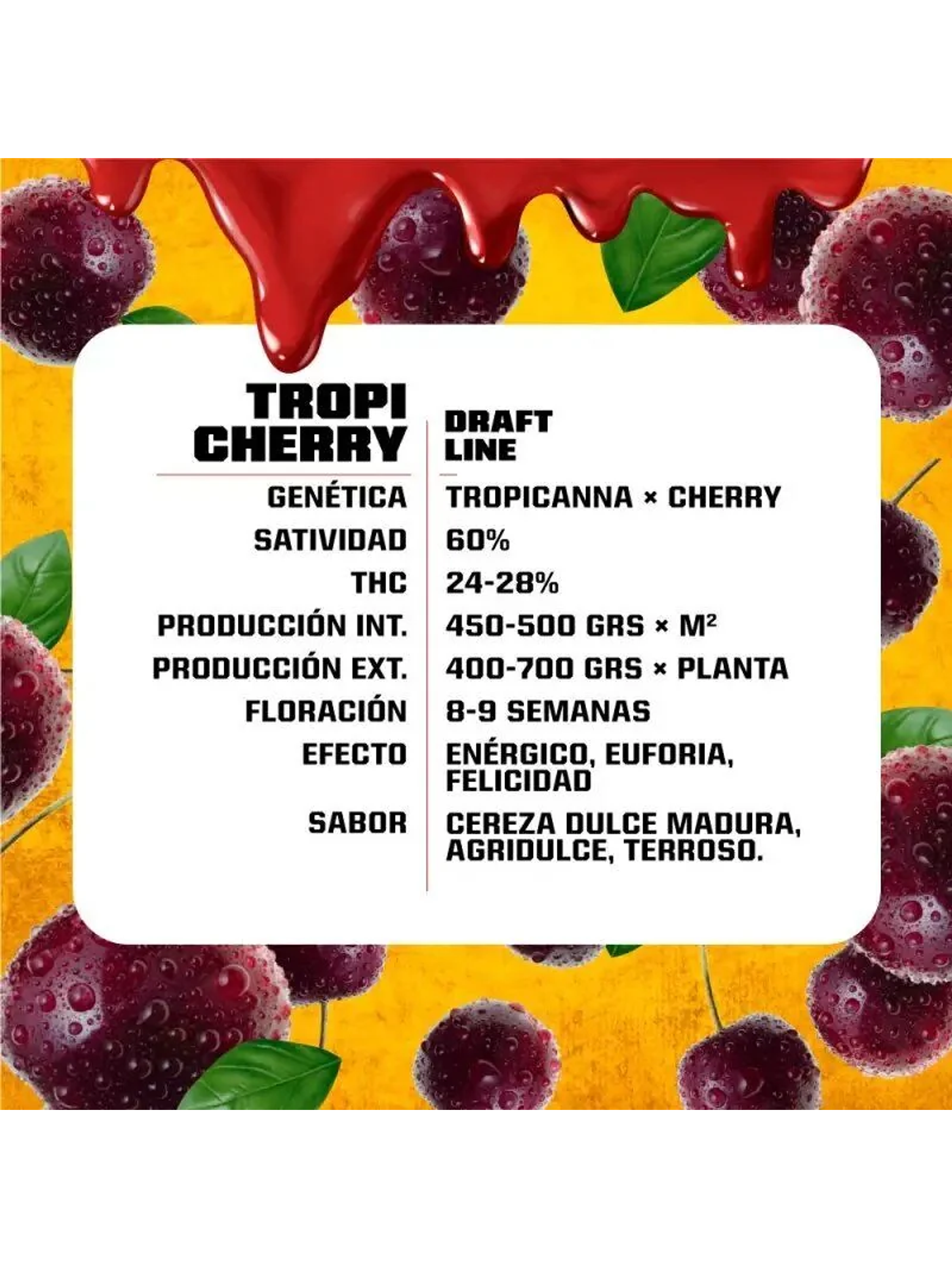 Tropi Cherry Fem -Bsf (X12/X7/X4/X2) 2