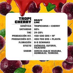 TROPI CHERRY FEM X12-BSF
