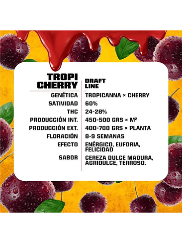 TROPI CHERRY FEM X12-BSF 2